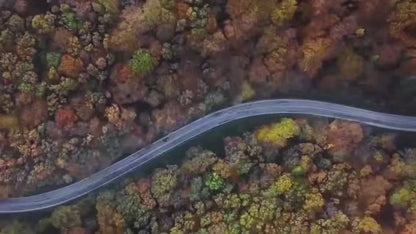 Portable Air Compressor with Digital Gauge